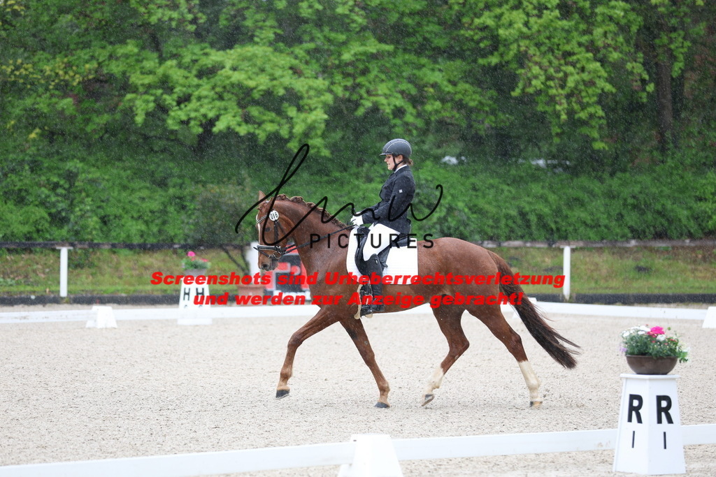 A40A7240 | lmwpictures - Realisiert mit Pictrs.com