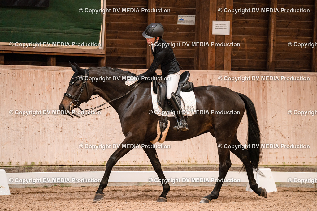 Dressur Tag 1 -175 | dv-media-shop - Realisiert mit Pictrs.com