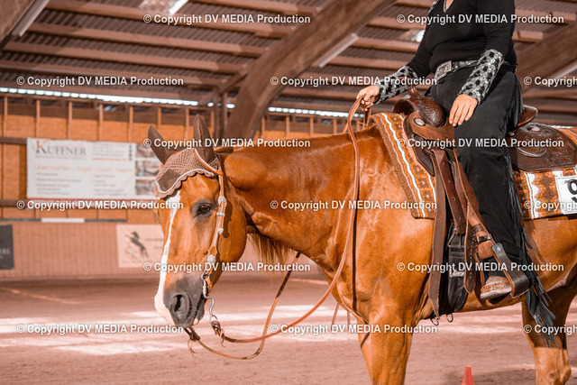 NE300654 | dv-media-shop - Realized with Pictrs.com