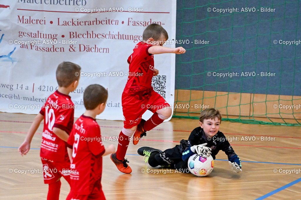 ASVÖ_ Fussball Nachwuchs Hallenturnier 2026_ SV Gallneukirchen_ 28.02.2026-151 | 28.02.2026, Gallneukirchen, AUT, ASVÖ, Fussball Nachwuchs Hallenturnier 2026, SV Gallneukirchen im Bild Teilnehmer U7©Harald Dostal / fodo.media - Realisiert mit Pictrs.com