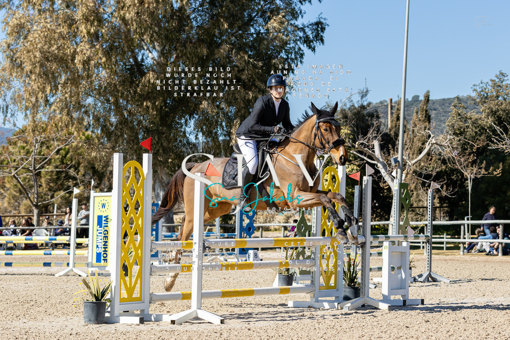 IMG_0290 | s-jay-photography - Realisiert mit Pictrs.com