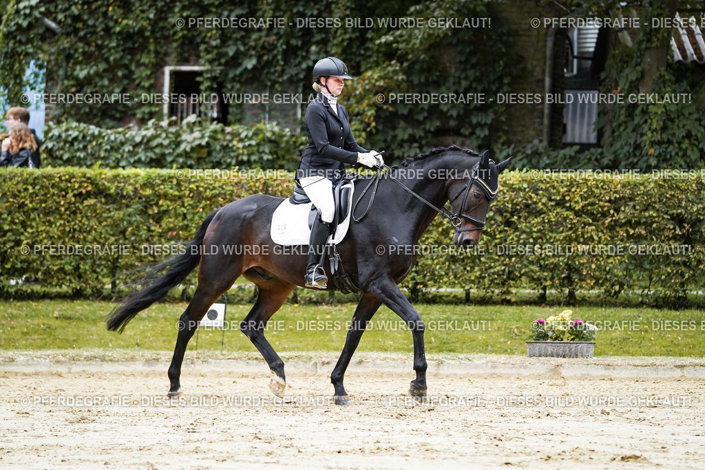 DSC07129 | Pferdegrafie