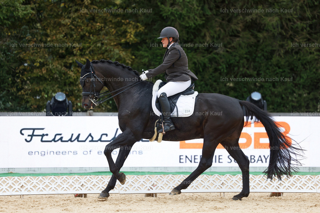 04_2-214-Dressur M__ -StoibPH-2947 | working equitationturnier fotograf videograf stoibphotography marixx film working equitation deutschland reitsport turnierfotografie eventfotografie equestrian events