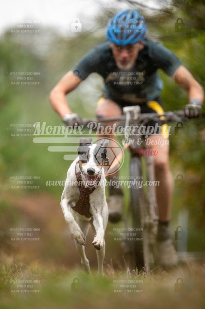 TSB_2023_E5_Bike-26 | PayLife