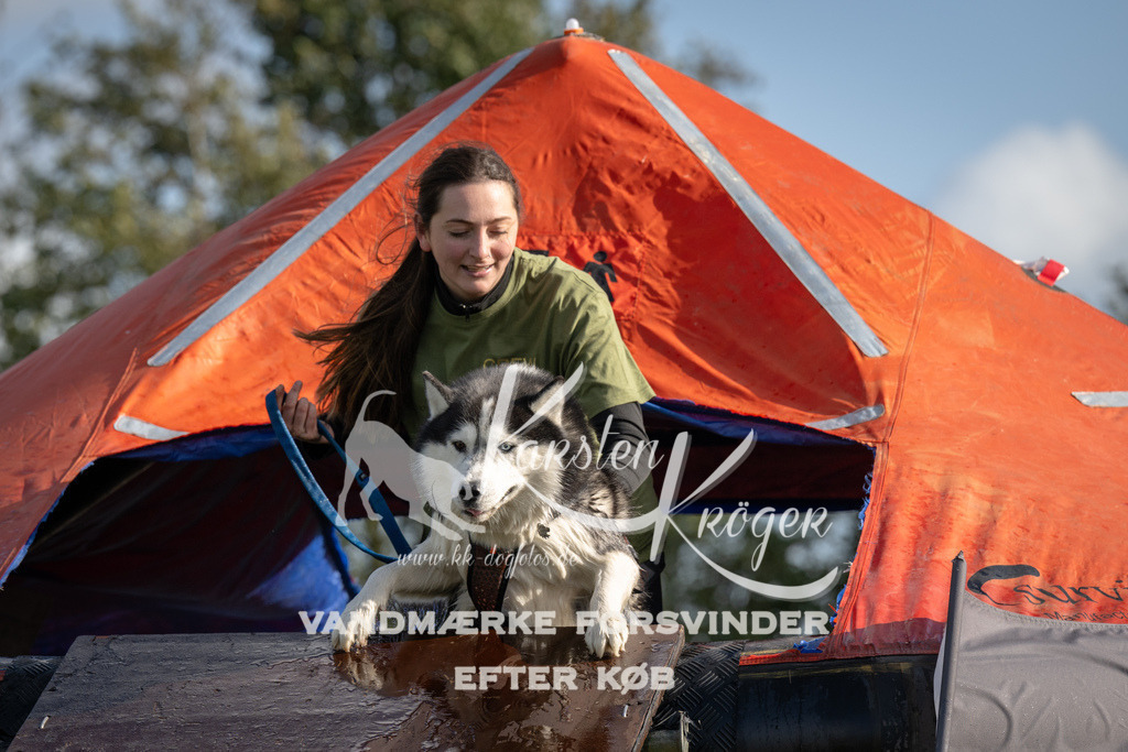 1407-93726 | kk-dogfotos