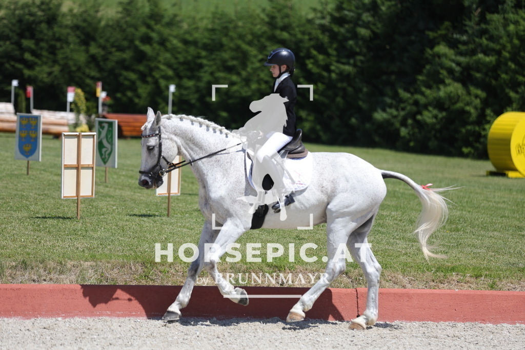 0P6A6411 | Willkommen bei Brunnmayr - Design & Fotografie – Ihrem Spezialisten für Reitturniere und Pferdeveranstaltungen in Oberösterreich, Salzburg und Bayern! Seit über 17 Jahren sind wir leidenschaftlich dabei.