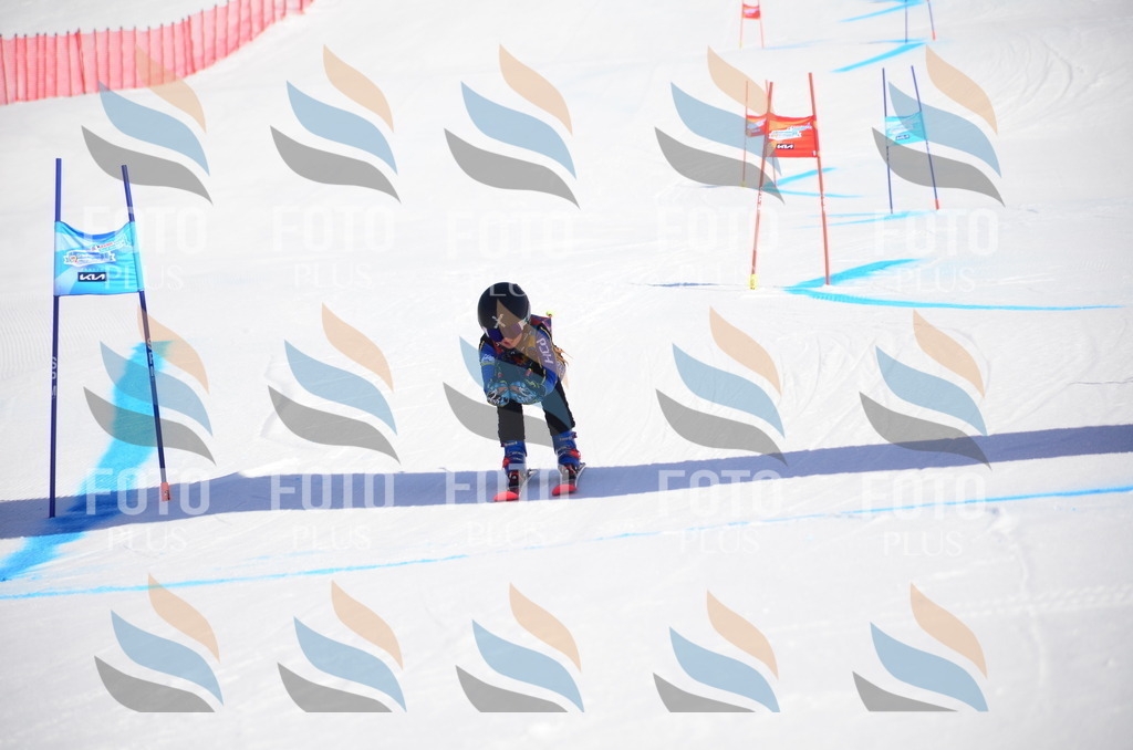 VR4_9169 | holidayphoto