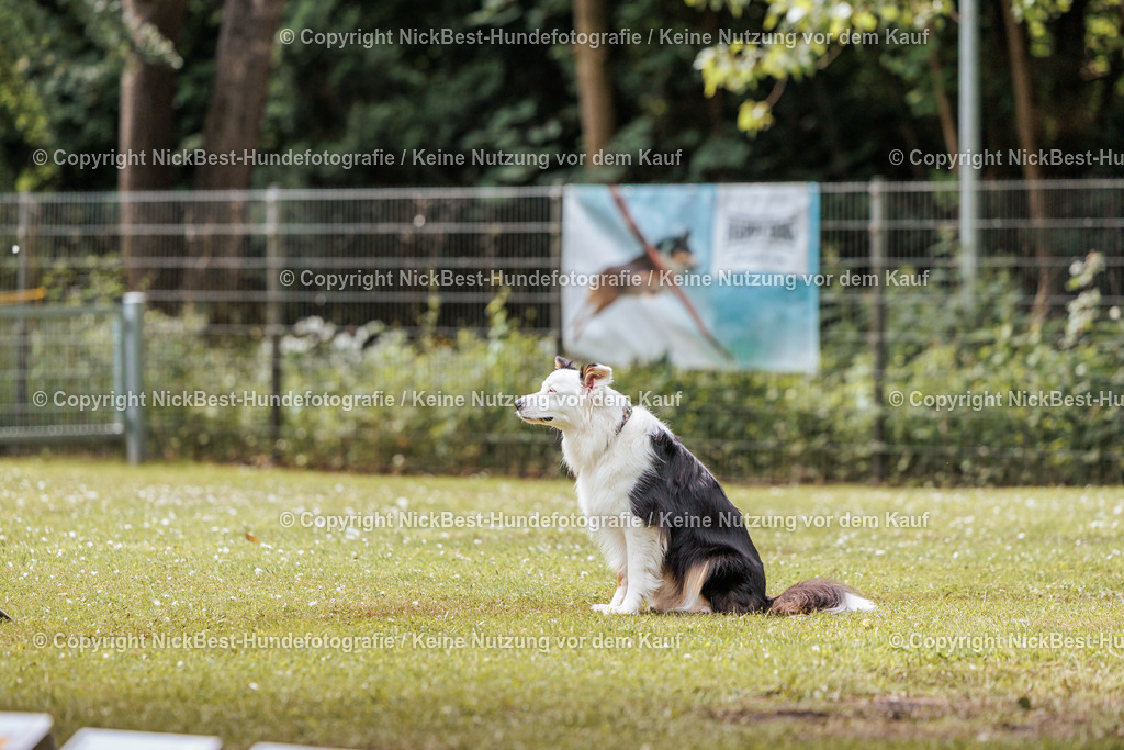 RO-Blumenthal-2026-Nickbest-Hundefotografie-2206 | Dein Hund! Dein Moment! Deine Erinnerungen! Hundefotografie in Bremen Blumenthal. Ich fange die besonderen Momente deines Vierbeiners ein – ob Indoor mit Blitzanlage oder in der freien Natur. Sicher dir dein Moment und dein Termin für eure Erinnerungen.
