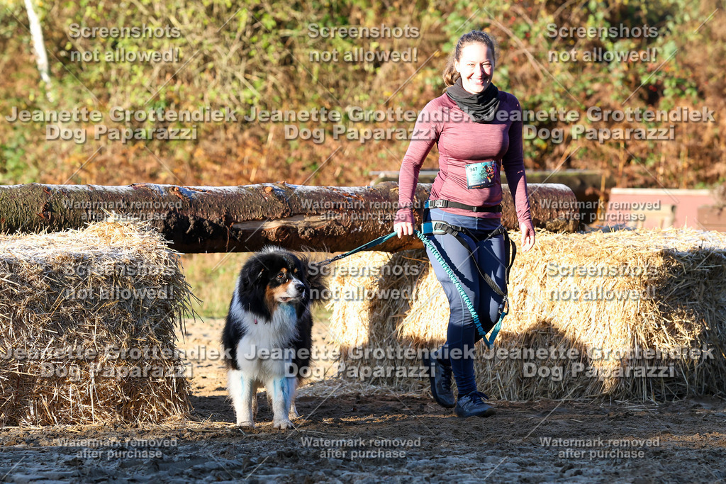 Dog Paparazzi - Strongdog 10-25-783 | Dog Paparazzi Jeanette Grottendiek Fotografie & Videografie - Realisiert mit Pictrs.com