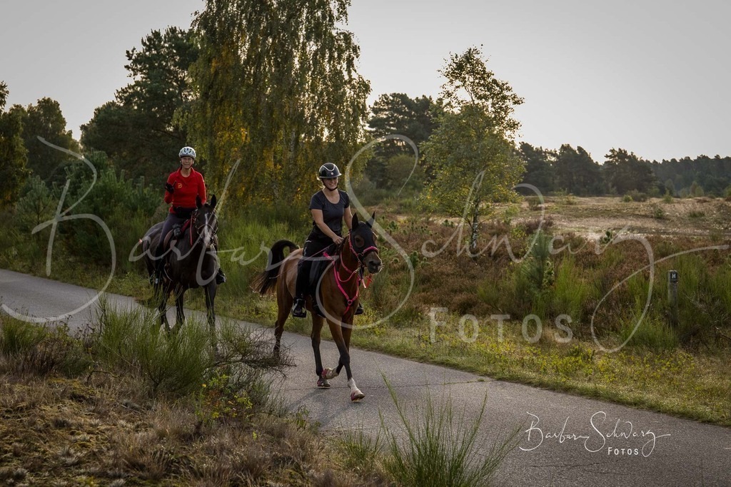 DdLH-TrotBy_2025-09-20_06 | Fotografie, Veranstaltungs-Fotografie, Pferde-Fotografie, Landschafts-Fotografie, Reise-Fotografie - Realisiert mit Pictrs.com