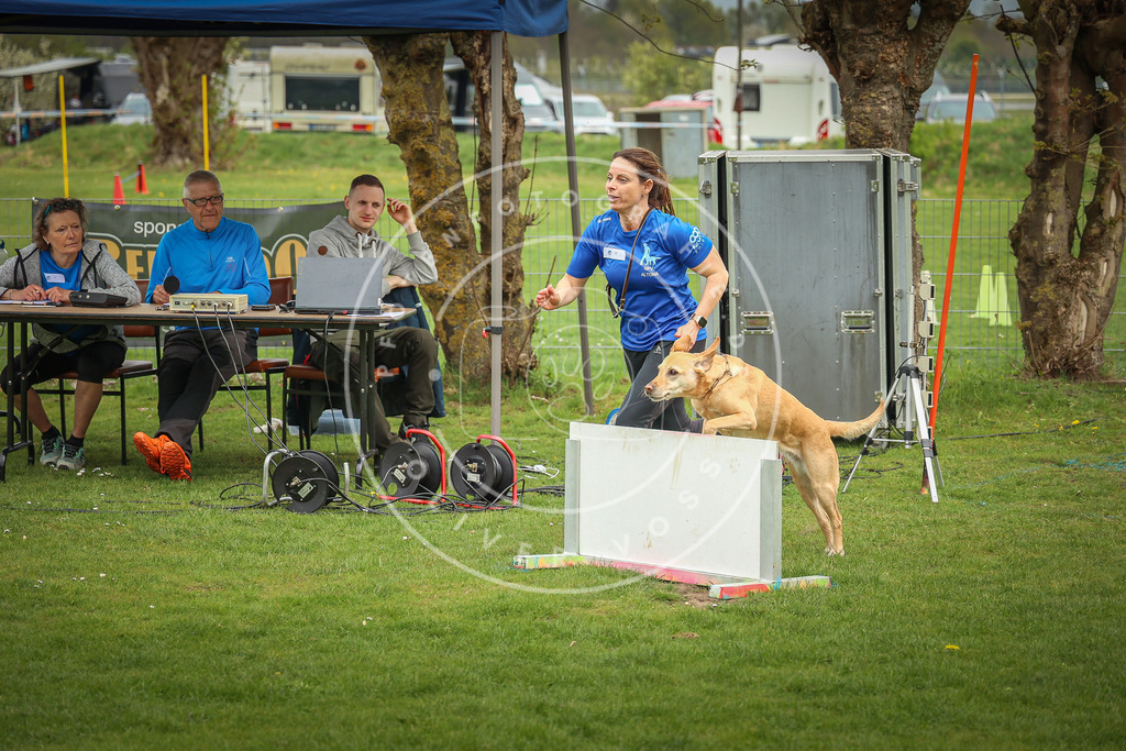 Pfotenfotografie_0L8A9841 | Hundefotografie, Tierfotograf, Pfotenfotografie, Fotoshooting Hund, Hunde Portrait, Hundesport, Hundeportraits, Heideshooting, Hunde, Sportfotograf, Hundefotograf, Turnierhundsport, THS,  - Realisiert mit Pictrs.com