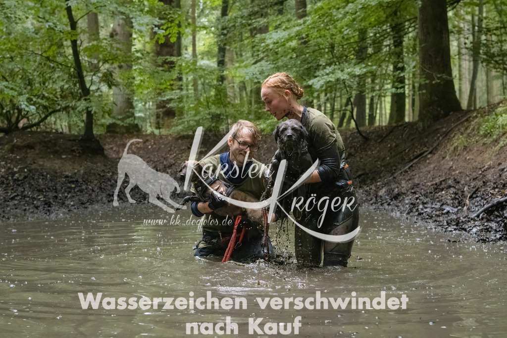 1017_ZZ92026-Bearbeitet | kk-dogfotos