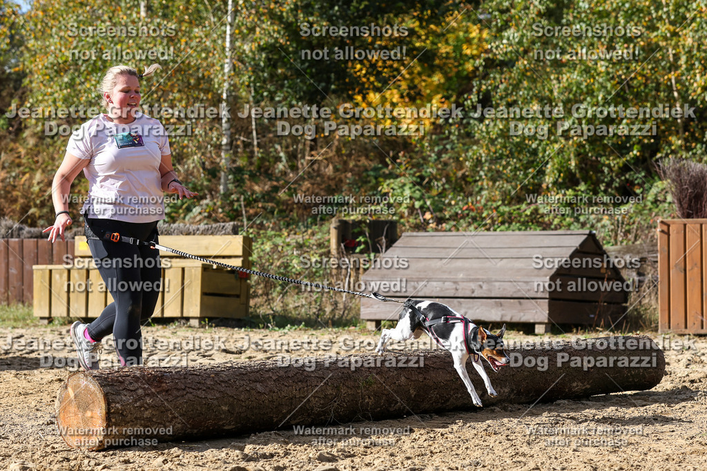 Dog Paparazzi - Strongdog 10-25-5469 | Dog Paparazzi Jeanette Grottendiek Fotografie & Videografie - Realisiert mit Pictrs.com