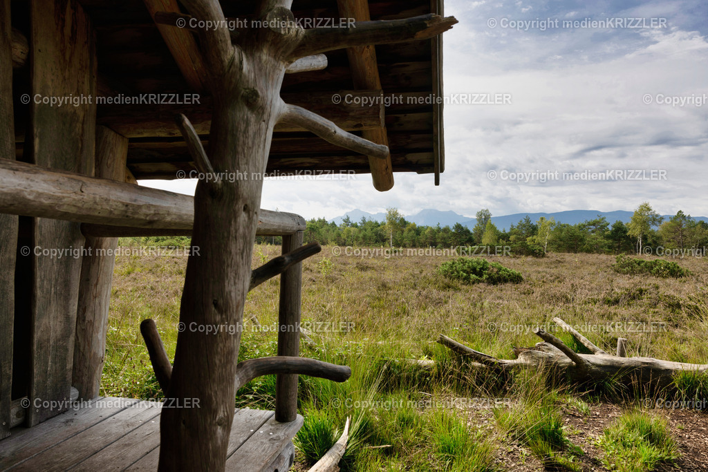 _J3A2294 | medienkrizzler - Realisiert mit Pictrs.com