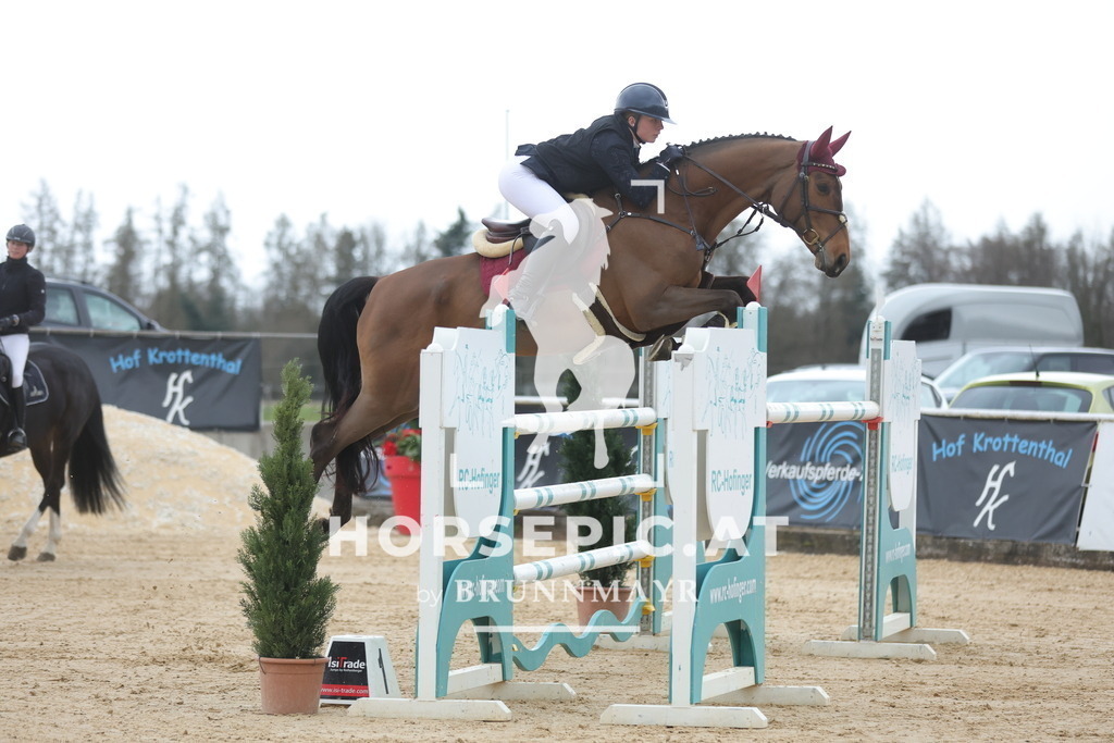 0P6A4953 | Willkommen bei Brunnmayr - Design & Fotografie – Ihrem Spezialisten für Reitturniere und Pferdeveranstaltungen in Oberösterreich, Salzburg und Bayern! Seit über 17 Jahren sind wir leidenschaftlich dabei.