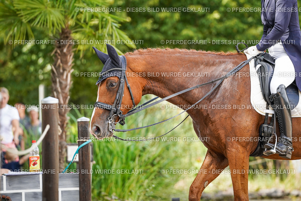 DSC06402 | Pferdegrafie