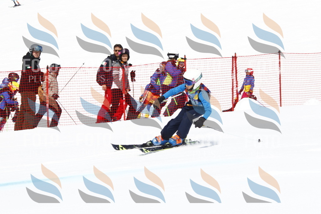 _U3G4529 | holidayphoto