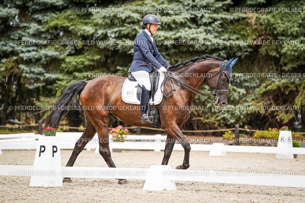 DSC05407 | Pferdegrafie