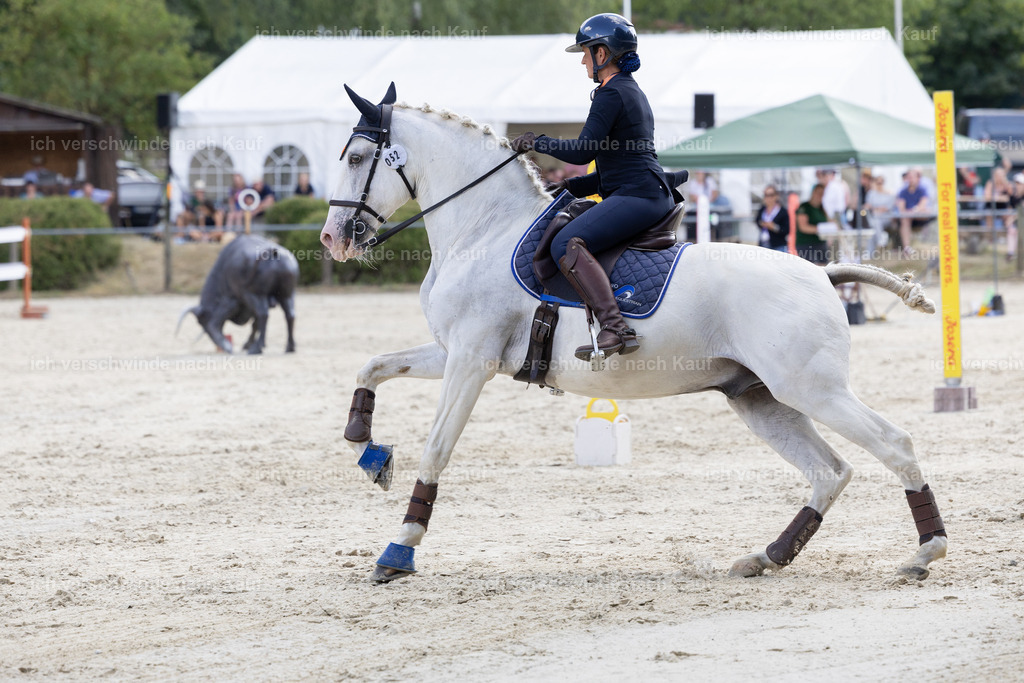 WS_SPEED_52_KerstinBernhardt-3 | working equitationturnier fotograf videograf stoibphotography marixx film working equitation deutschland reitsport turnierfotografie eventfotografie equestrian events