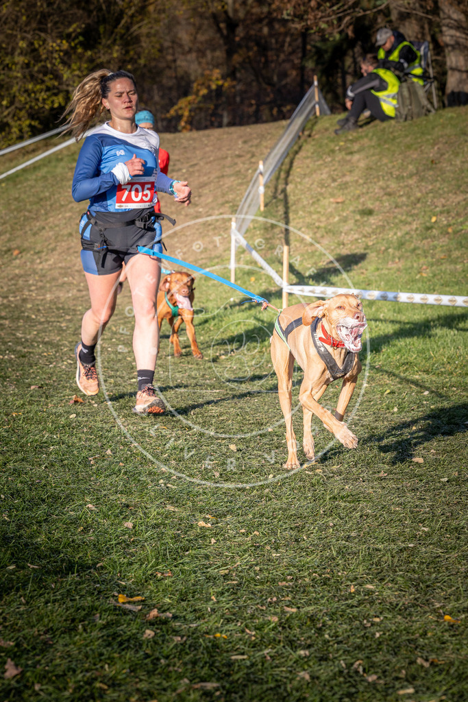 CaniXpix_0L8A9607 | Hundefotografie, Tierfotograf, Pfotenfotografie, Fotoshooting Hund, Hunde Portrait, Hundesport, Hundeportraits, Heideshooting, Hunde, Sportfotograf, Hundefotograf, Turnierhundsport, THS,  - Realisiert mit Pictrs.com