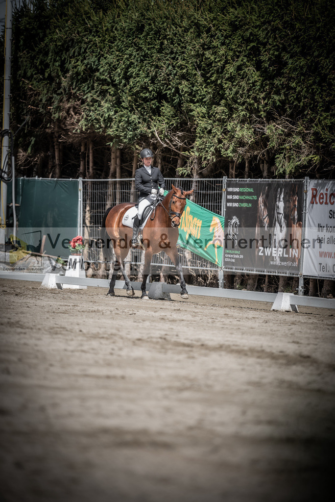 DSC_2350 | equestrian-live-com
