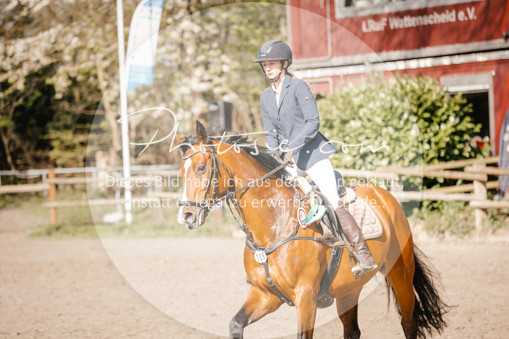 3I6A3843 | Stimmungsvolle Portraits und Reitsportfotografie im Ruhrgebiet und im Münsterland.

Pferdefotografie, Hundefotografie, Tierfotografie, Reportagen, Portraits von Tier und Mensch, Turnierfotografie in Bochum, Recklinghausen, Marl, Haltern am See, Dülmen.. - Realisiert mit Pictrs.com