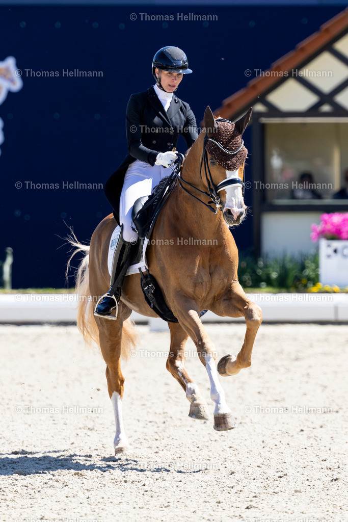 TH_594-Borghese MT-Soddemann_ Kira Laura_27953 | Horses &amp; Dreams meets the Netherlands 2025 am 27.04.25 in Hagen a.T.W., 594Borghese MTSoddemann, Kira Laura