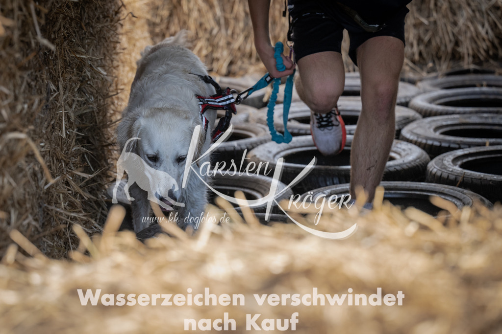 1048_ZZ99299 | kk-dogfotos