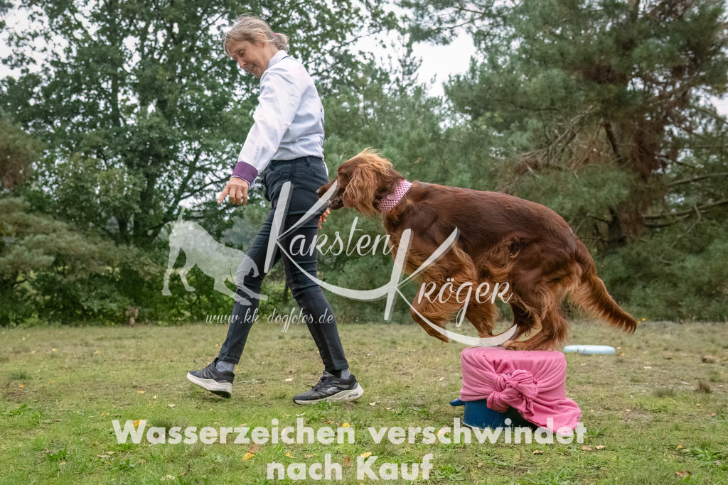 1132_ZZ94548-Bearbeitet | kk-dogfotos