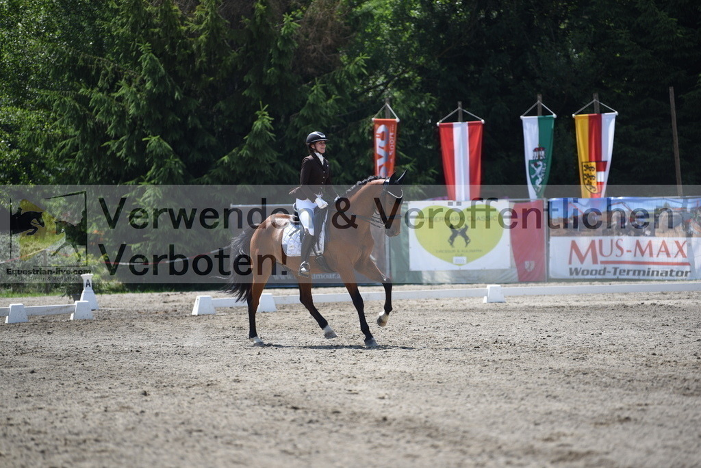 DSC_1098 | equestrian-live-com