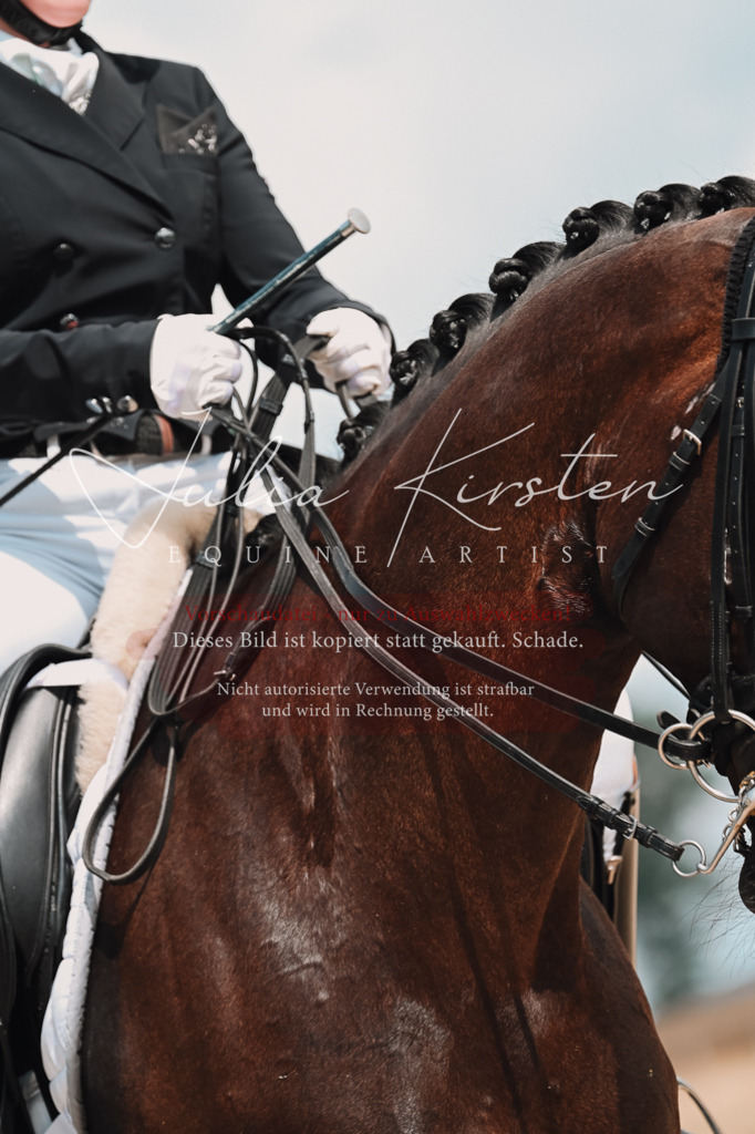 DSC_4260 | Pferde- und Turnierfotografie in Westsachsen. Pferdeportraits, Auftragszeichnungen und intuitive Kunst.