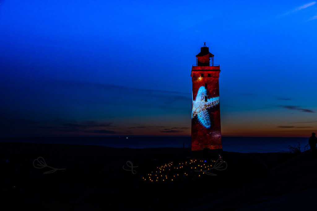 Lighthouse 1505 | Motiv Seestern - Realisiert mit Pictrs.com