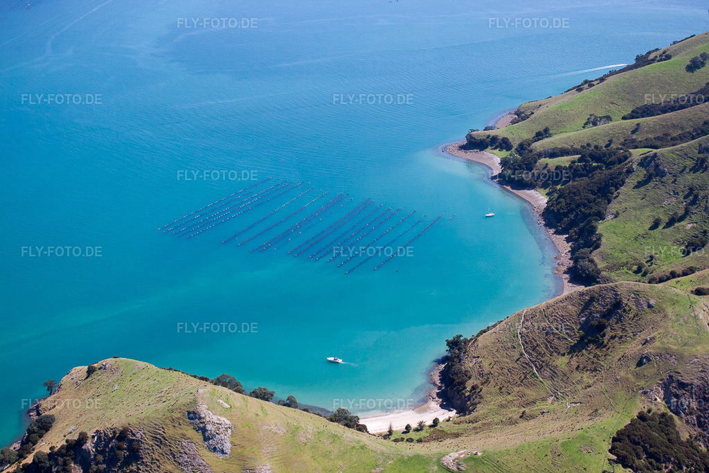 Luftbild: Ortsansicht in Whanganui Island im Bundesland Waikato in Neuseeland. – Foto: IMG_55719.jpg vom 12.01.2013 durch Werner Riehm/FLY-FOTO.de – Auflösung des Originals: 4752 x 3168 px