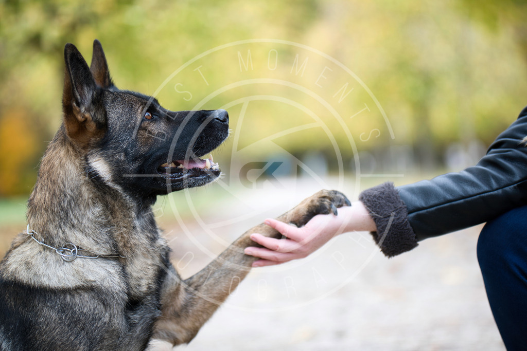 DSC_1083 | best-moments-photography - Realisiert mit Pictrs.com