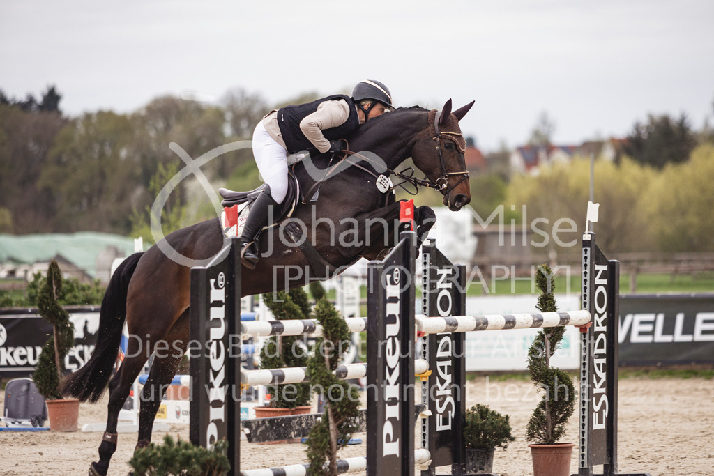 250417_Frühlingsfest_Springpferde-M-135 | Deine schönsten Turniermomente als professionelle Fotos! Entdecke hochwertige Pferdesport-Fotografie im Online-Shop. Jetzt Fotos finden & bestellen!