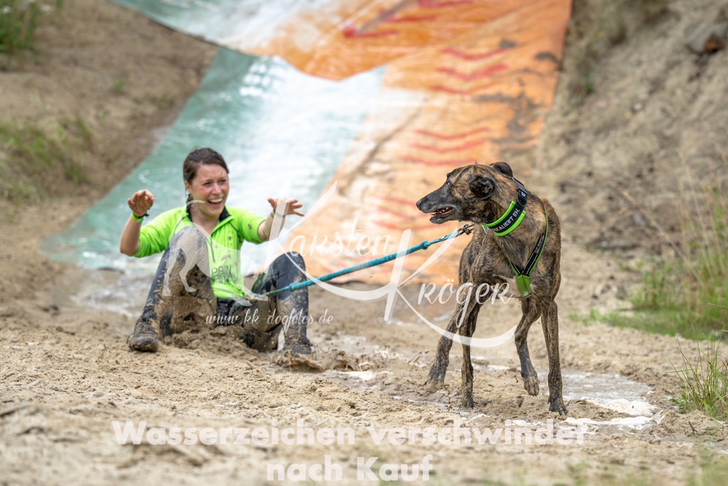 0954_ZZ91782-Verbessert-RR | kk-dogfotos