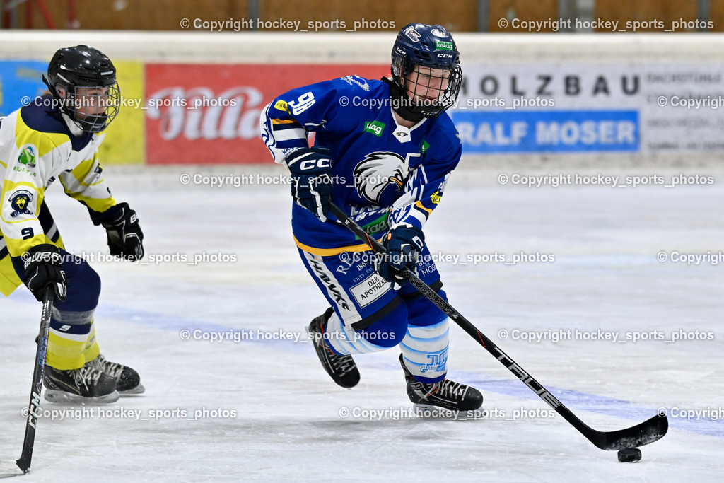 Wildcats Paternion vs. Lady Hawks  | #9 Neumann Magdalena WILDCATS PATERNION, #98 Walluschnig Nadine Ramona LADY HAWKS, Wildcats Paternion vs. Lady Hawks , Wildcats Paternion vs. Lady Hawks  am 27.01.2025 in Spittal an der Drau (Eissportzentrum Spittal), Austria, (Photo by Bernd Stefan)