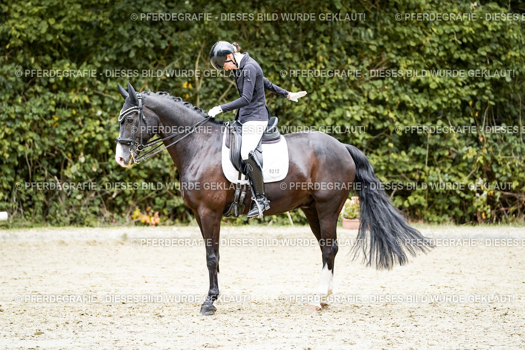 DSC05986 | Pferdegrafie