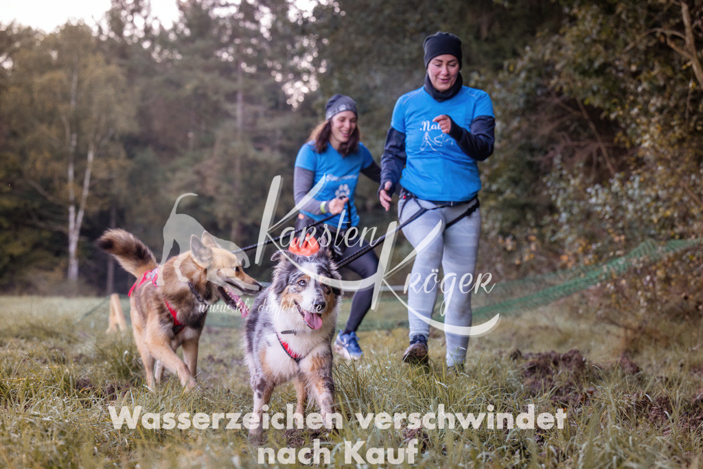 0823_ZZ90240 | kk-dogfotos