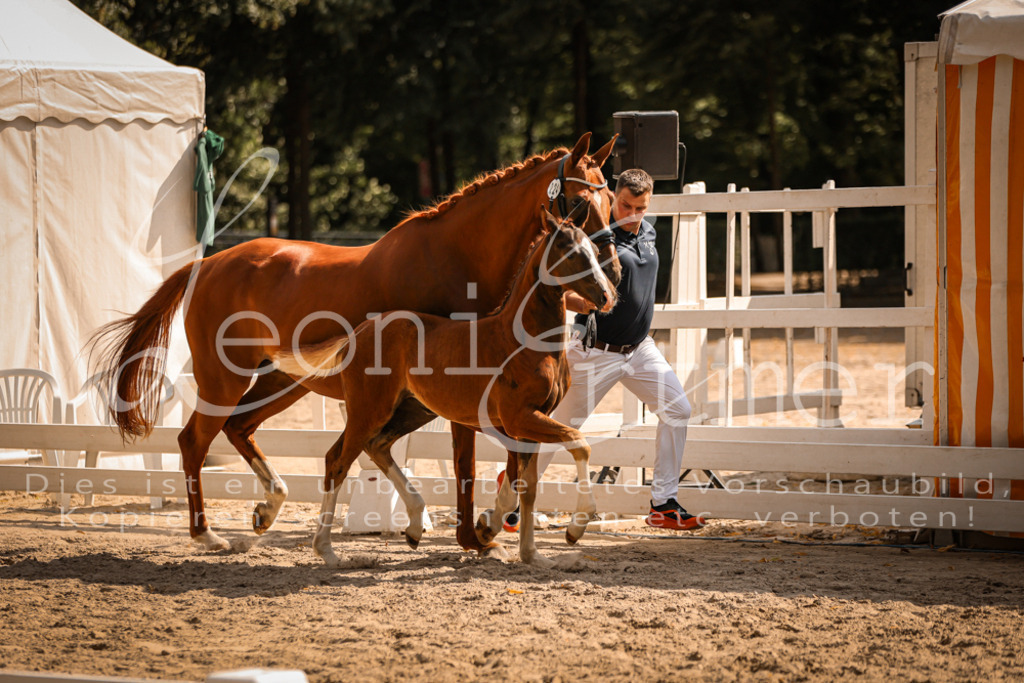 09.DoWBD00066 | Leoni Ertmer Photography - Realisiert mit Pictrs.com