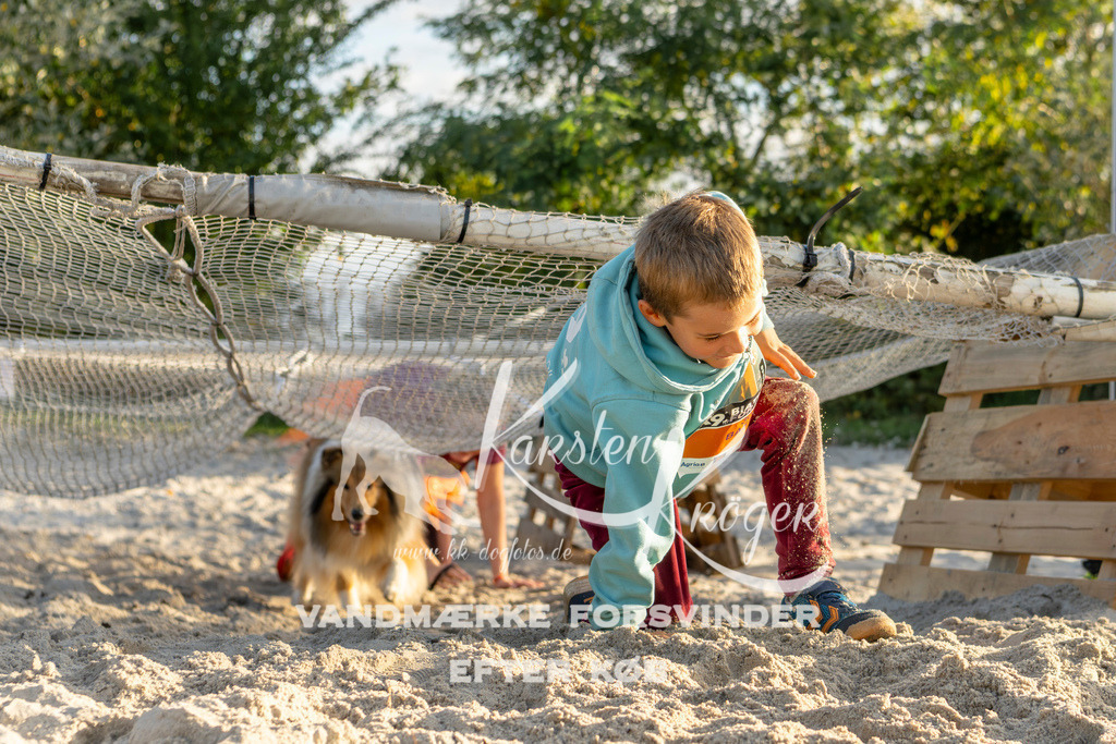 1648_ZZ99649 | kk-dogfotos