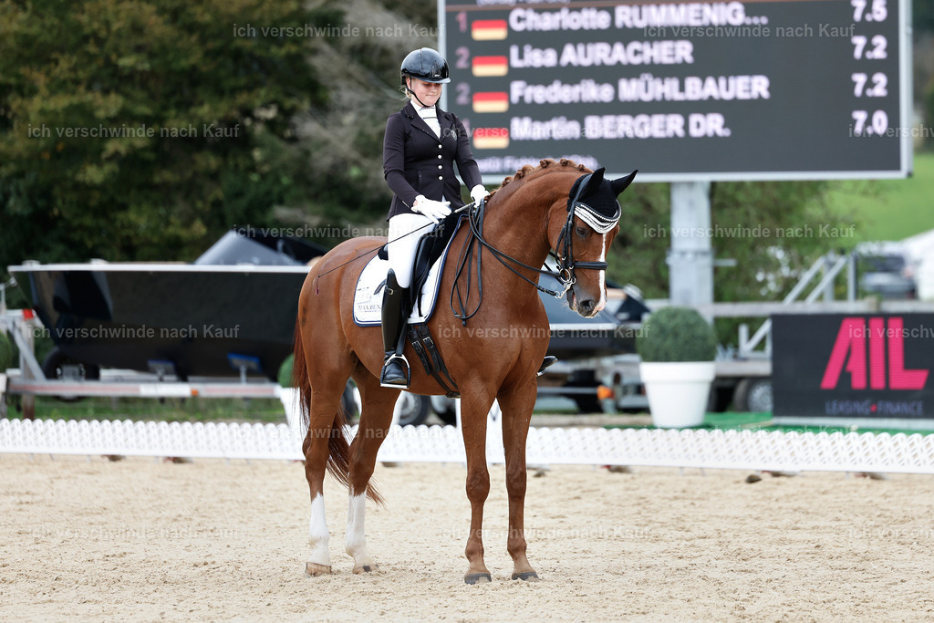 3-210-Dressur M_-StoibPH-2470 | working equitationturnier fotograf videograf stoibphotography marixx film working equitation deutschland reitsport turnierfotografie eventfotografie equestrian events