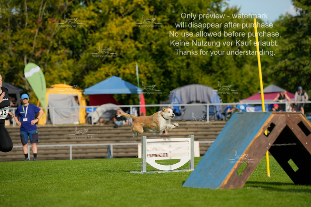 Samstag_CSC (1618 von 2023) | stephaniefillaphotographie - Realisiert mit Pictrs.com