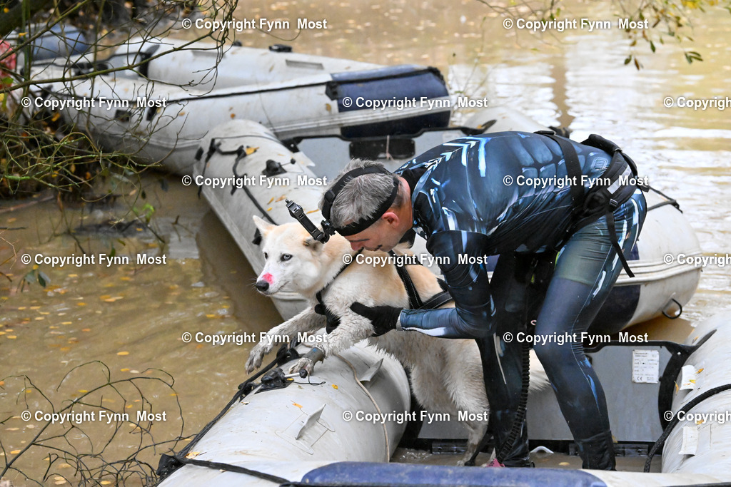 DSC_6821 | Hallo und herzlich Willkommen auf meiner Shop-Seite Fynn Most.

Ich wünsche Dir viel Spaß beim stöbern durch die Bilder, wenn Du Fragen hast oder Bilder vermisst, kannst du mir gerne eine Nachricht schreiben. - Realisiert mit Pictrs.com