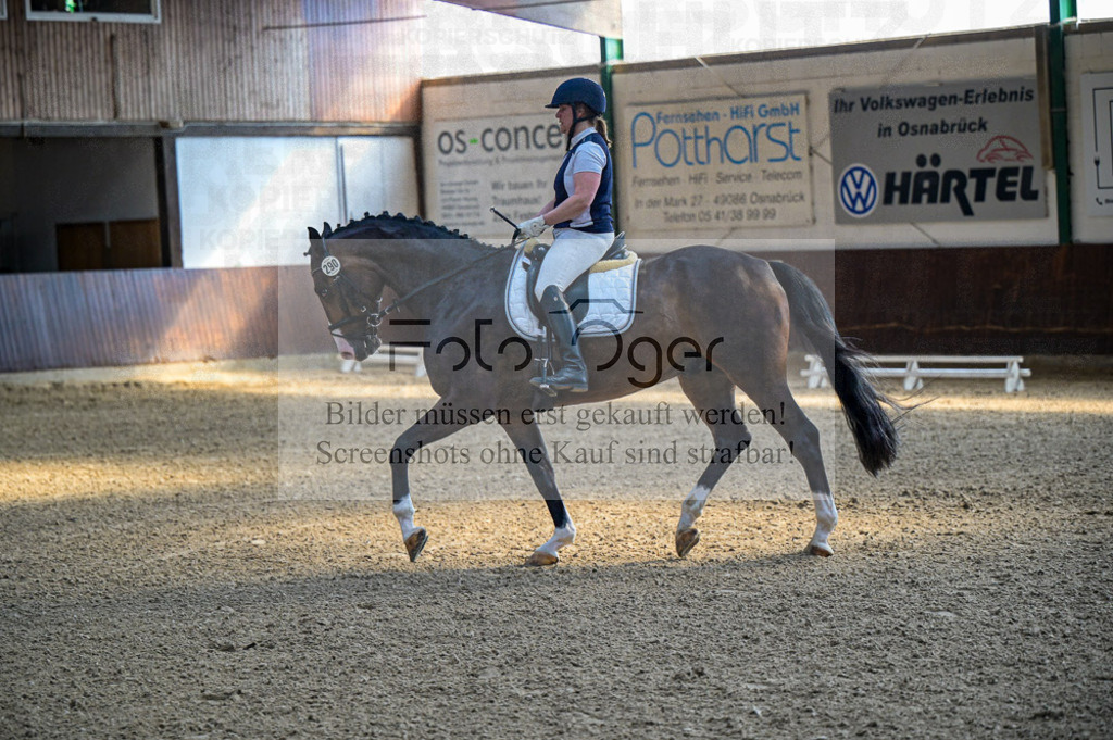 Reitturnier Voxtrup | Entdecke hochwertige Reitturnierfotos von Foto Oger. Professionell, emotional und authentisch – jetzt Lieblingsmomente im Shop bestellen.Deutschlandweite Turnierfotografie. - Realisiert mit Pictrs.com