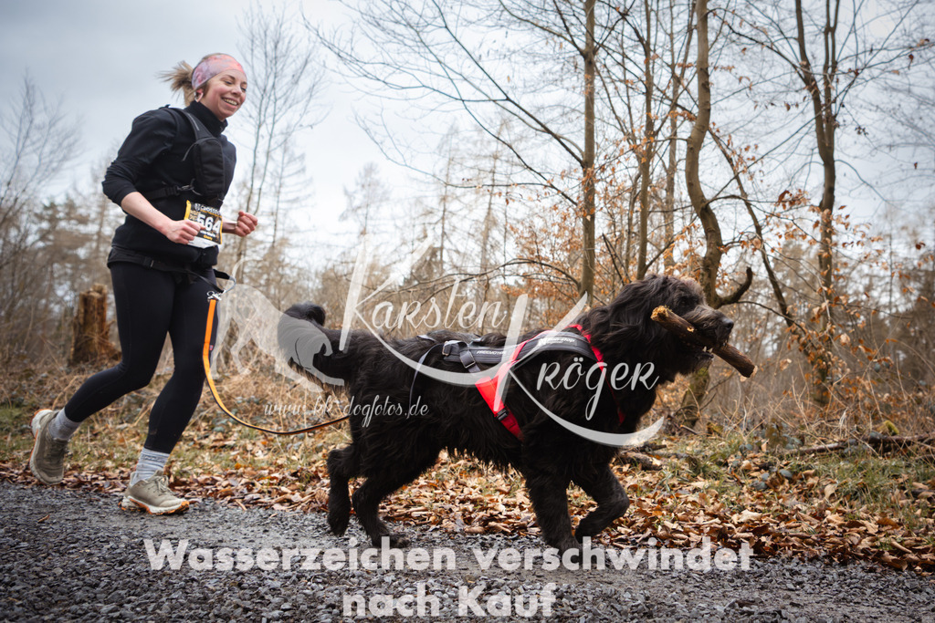 1104_ZZ99591 | kk-dogfotos