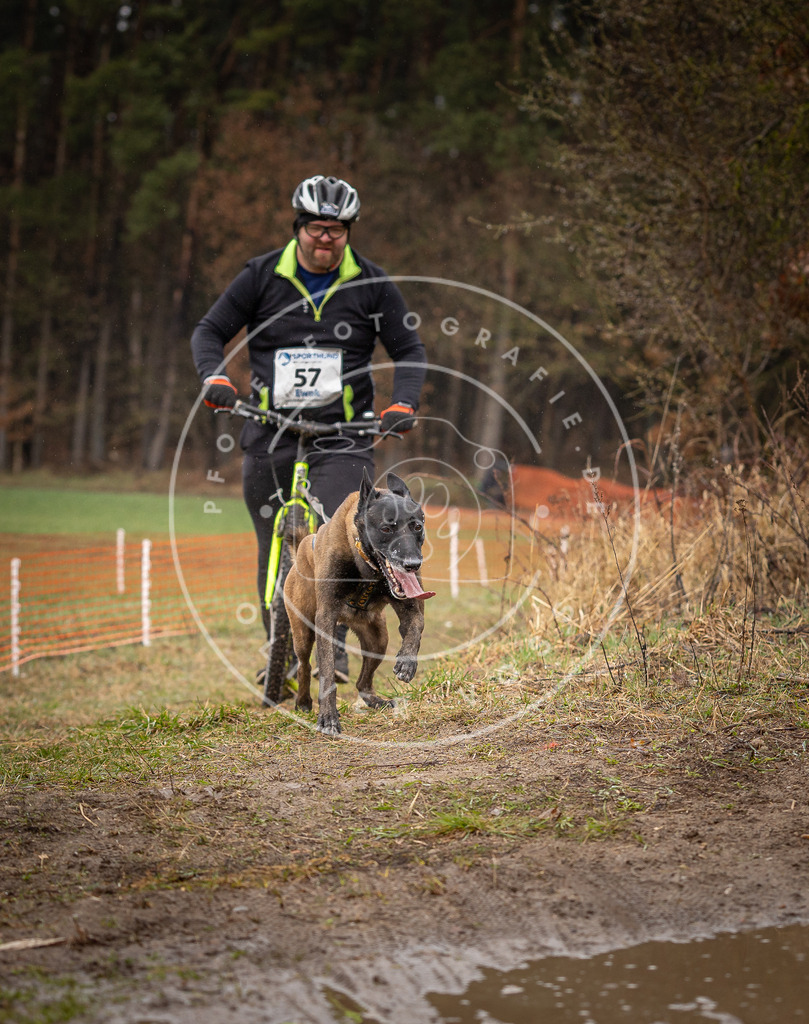 DV3A9476 | Hundefotografie, Tierfotograf, Pfotenfotografie, Fotoshooting Hund, Hunde Portrait, Hundesport, Hundeportraits, Heideshooting, Hunde, Sportfotograf, Hundefotograf, Turnierhundsport, THS,  - Realisiert mit Pictrs.com