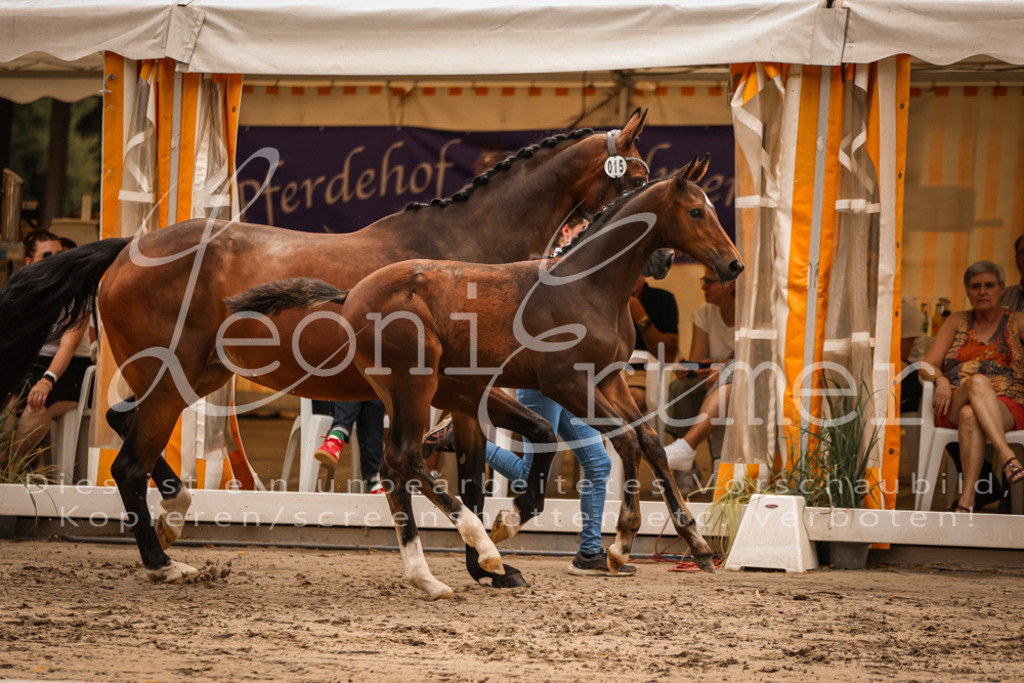 SaPA00218 | Leoni Ertmer Photography - Realisiert mit Pictrs.com