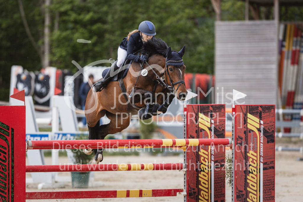 250504_SpengeW_M2-Spr-409 | Deine schönsten Turniermomente als professionelle Fotos! Entdecke hochwertige Pferdesport-Fotografie im Online-Shop. Jetzt Fotos finden & bestellen!