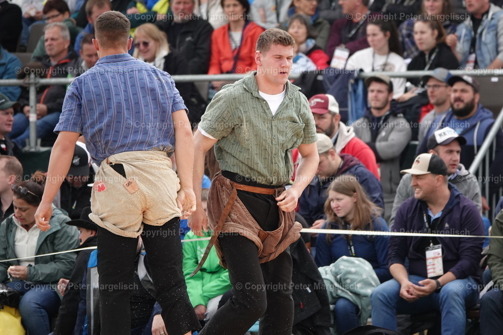 DSC03872 | Schwingen - Realisiert mit Pictrs.com